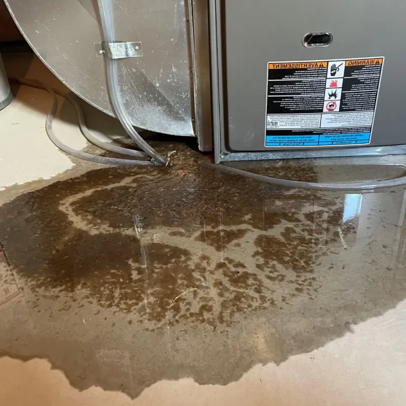 Pipe Burst and Leak Restoration in Stanford, KY